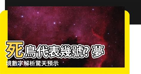 小鳥代表幾號|夢見各種夢所代表的樂透數字（動物篇），周公解夢大全查詢